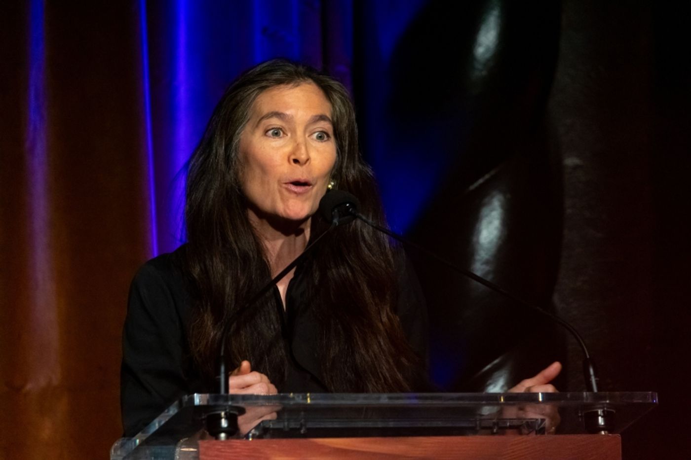 The Drama League Gala: Embrace the Directors  Image