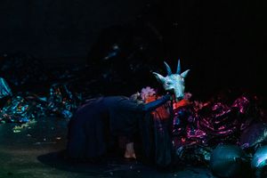 Debora Balardini in Backlash to Brazilian Happiness (Photo by Alexia Haick) Photo