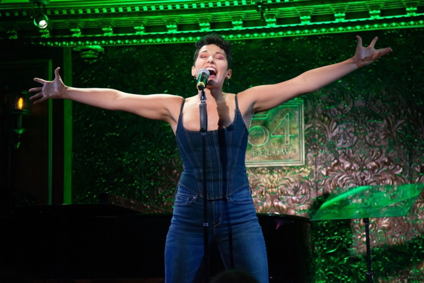 Review: Alexandra Silber & Friends Have Another Night Of Wishful Thinking In I WISH: THE ROLES THAT COULD HAVE BEEN at 54 Below  Image