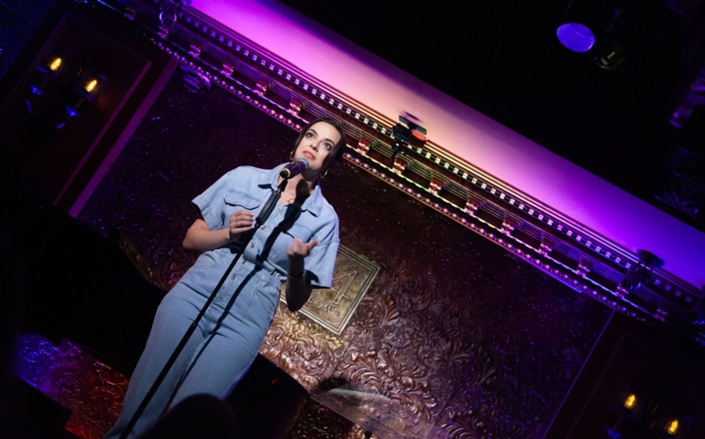 Review: Alexandra Silber & Friends Have Another Night Of Wishful Thinking In I WISH: THE ROLES THAT COULD HAVE BEEN at 54 Below  Image