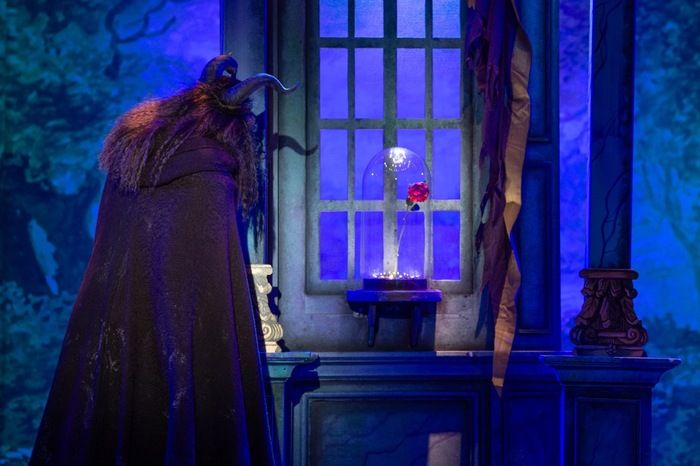 Photos: First Look at DISNEY'S BEAUTY AND THE BEAST at the John W. Engeman Theater  Image
