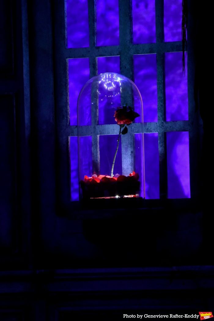 Photos: The Cast of BEAUTY AND THE BEAST at the John W. Engeman Theater Takes Opening Night Bows  Image