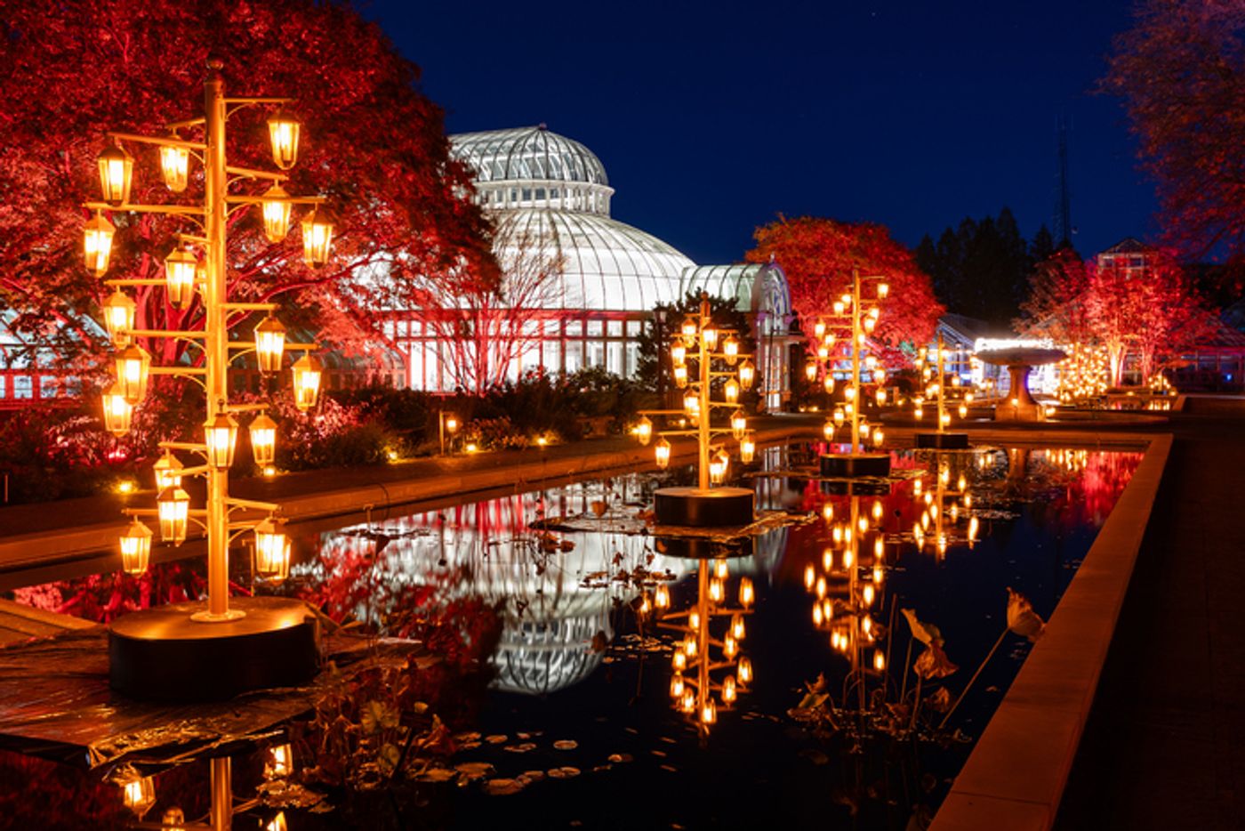 Photos: Brooklyn Botanic Garden's LIGHTSCAPE Opens to the Public  Image