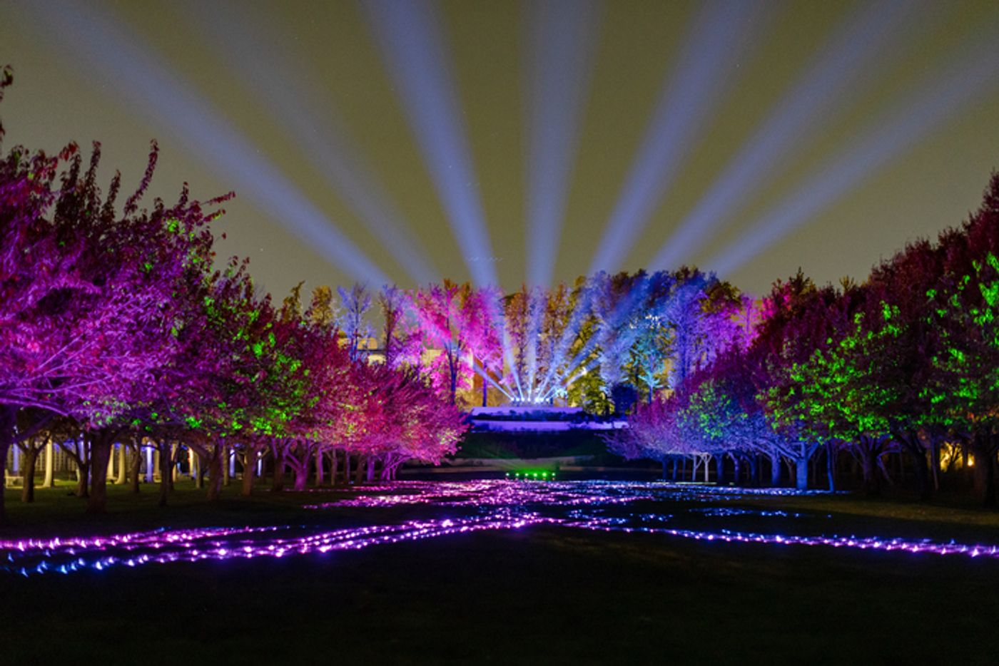 Photos: Brooklyn Botanic Garden's LIGHTSCAPE Opens to the Public  Image