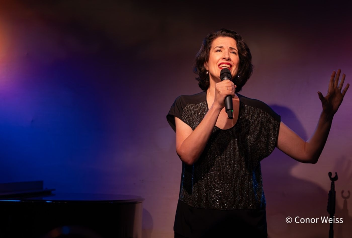 Photos: Meg Flather Continues Performances Of HAMMERSTEIN & SONDHEIM: CAREFULLY TAUGHT at Don't Tell Mama  Image