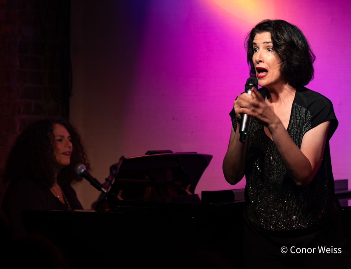 Photos: Meg Flather Continues Performances Of HAMMERSTEIN & SONDHEIM: CAREFULLY TAUGHT at Don't Tell Mama  Image