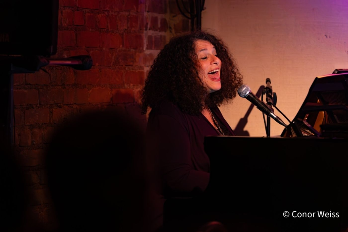 Photos: Meg Flather Continues Performances Of HAMMERSTEIN & SONDHEIM: CAREFULLY TAUGHT at Don't Tell Mama  Image