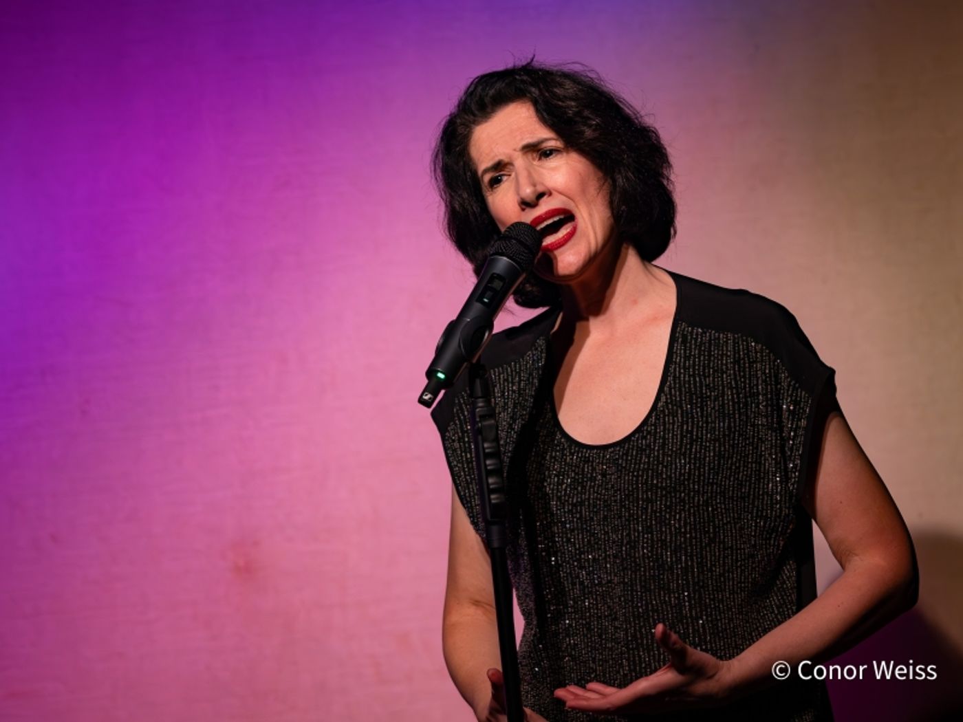 Photos: Meg Flather Continues Performances Of HAMMERSTEIN & SONDHEIM: CAREFULLY TAUGHT at Don't Tell Mama  Image