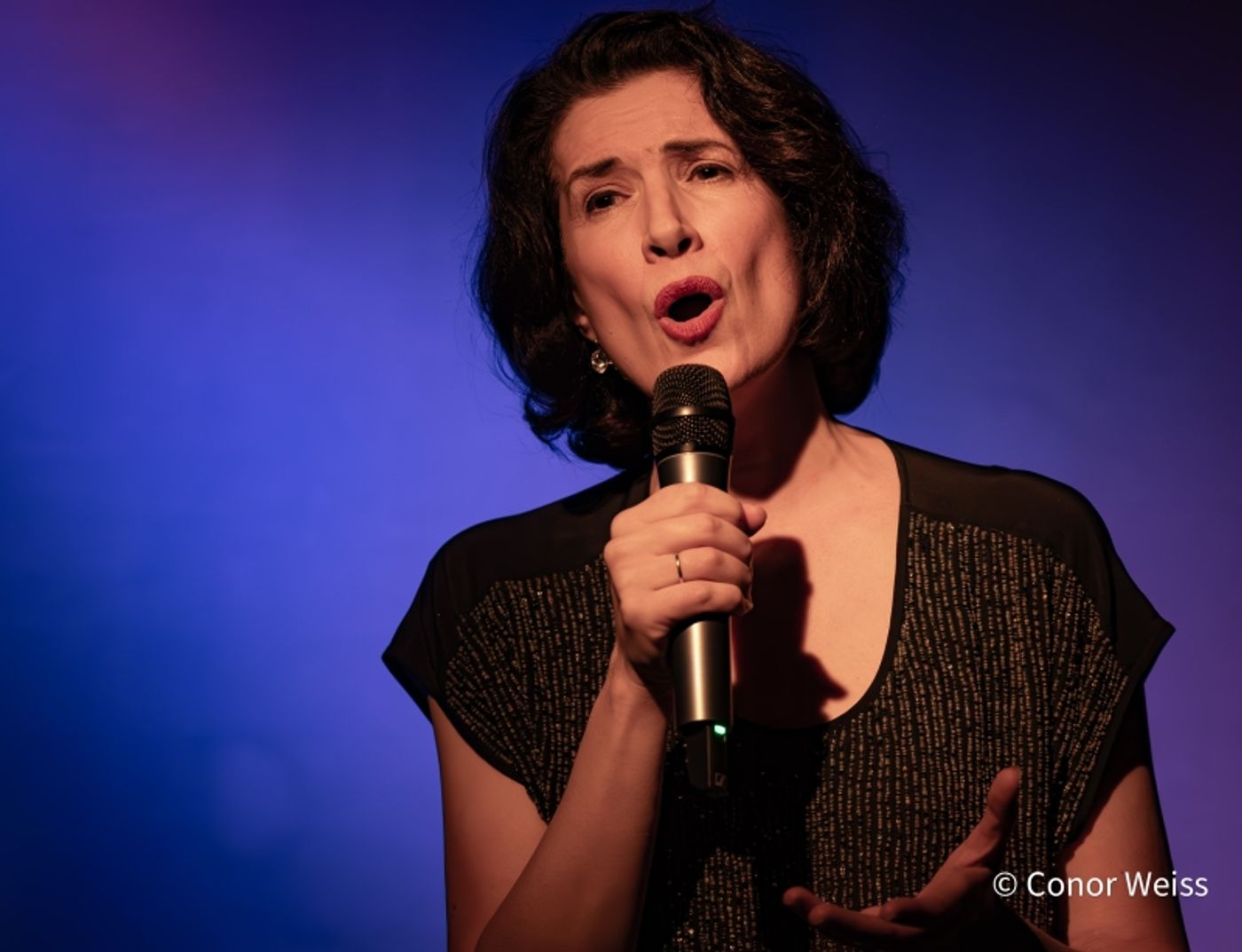 Photos: Meg Flather Continues Performances Of HAMMERSTEIN & SONDHEIM: CAREFULLY TAUGHT at Don't Tell Mama  Image