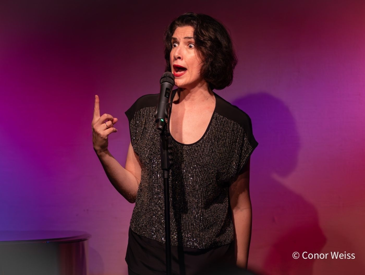 Photos: Meg Flather Continues Performances Of HAMMERSTEIN & SONDHEIM: CAREFULLY TAUGHT at Don't Tell Mama  Image