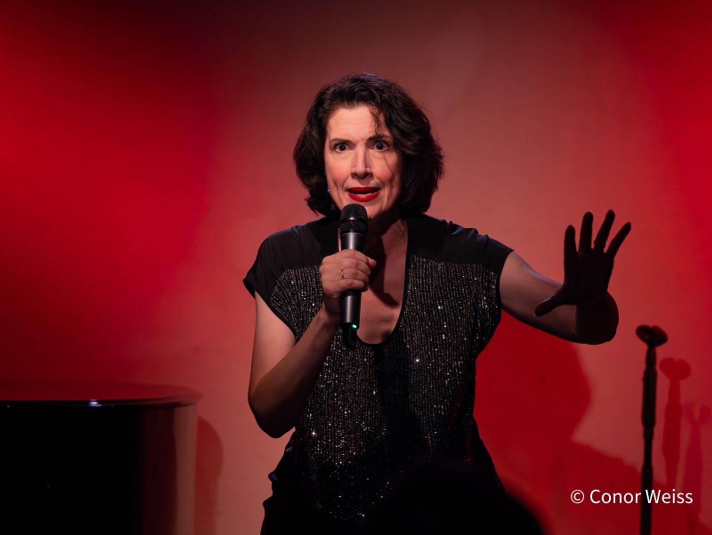 Photos: Meg Flather Continues Performances Of HAMMERSTEIN & SONDHEIM: CAREFULLY TAUGHT at Don't Tell Mama  Image