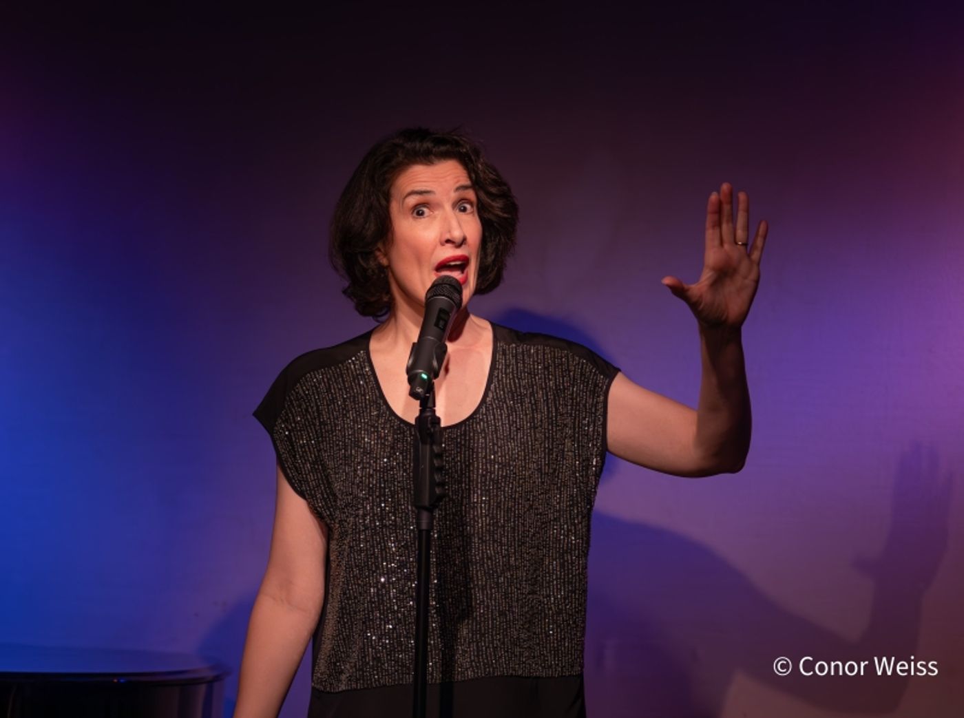 Photos: Meg Flather Continues Performances Of HAMMERSTEIN & SONDHEIM: CAREFULLY TAUGHT at Don't Tell Mama  Image