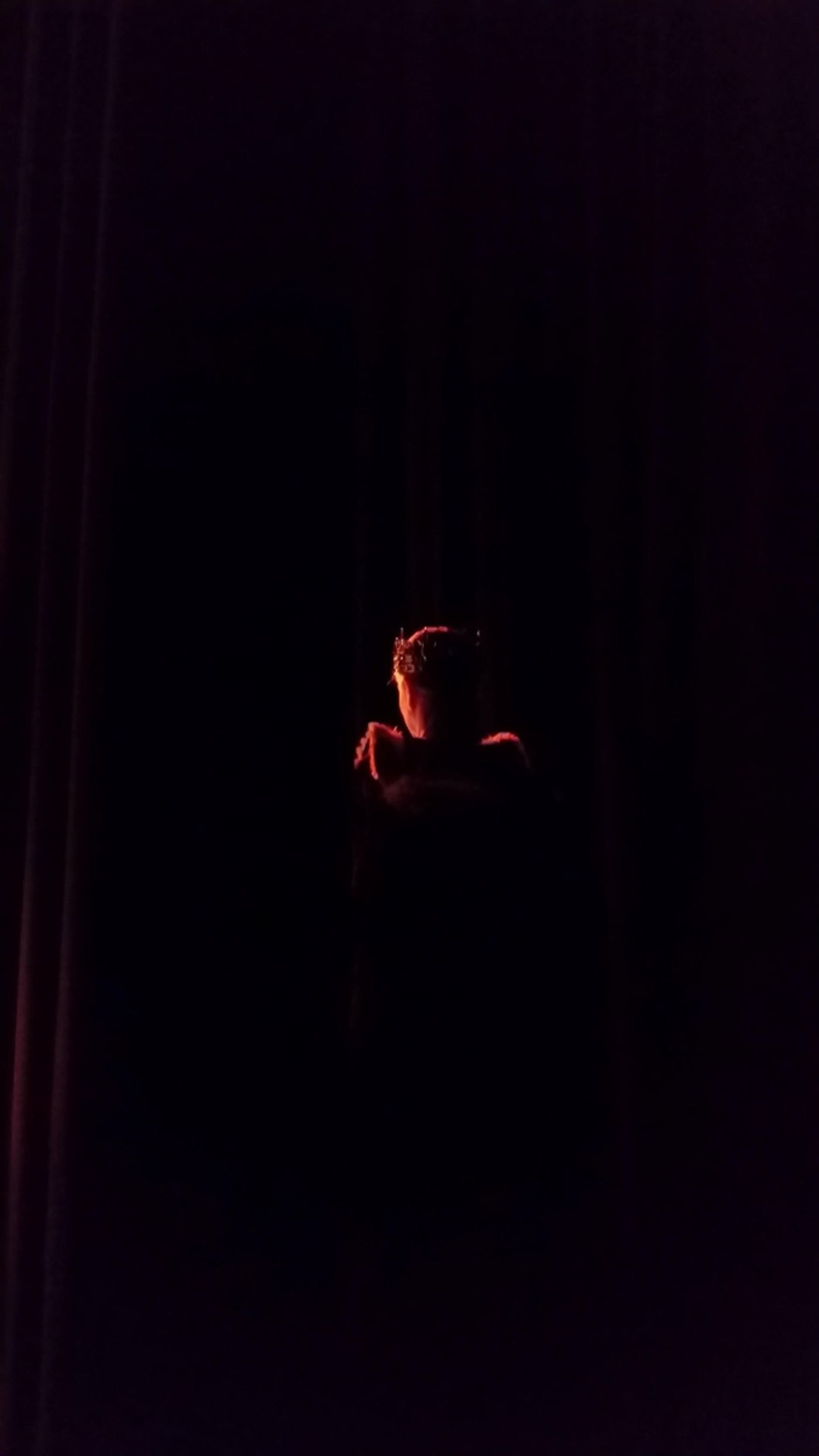 A Nashville Theater Tribute: GIVING THANKS FOR DENICE CONTINUES  Image