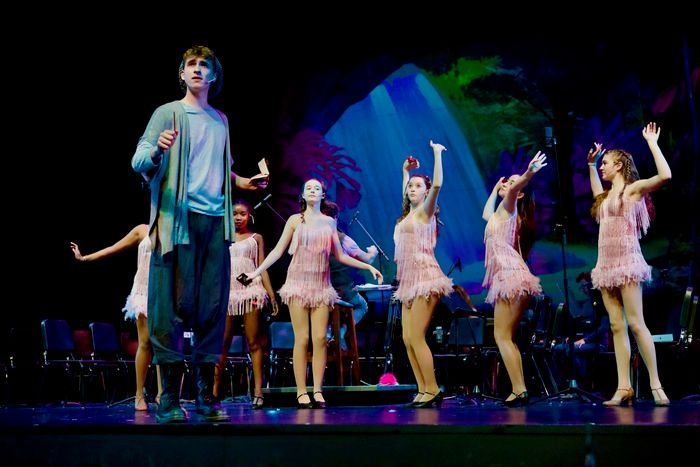 Review: Young Artists of America Present SEUSSICAL THE MUSICAL  Image