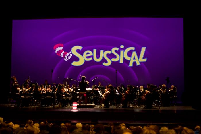 Review: Young Artists of America Present SEUSSICAL THE MUSICAL  Image