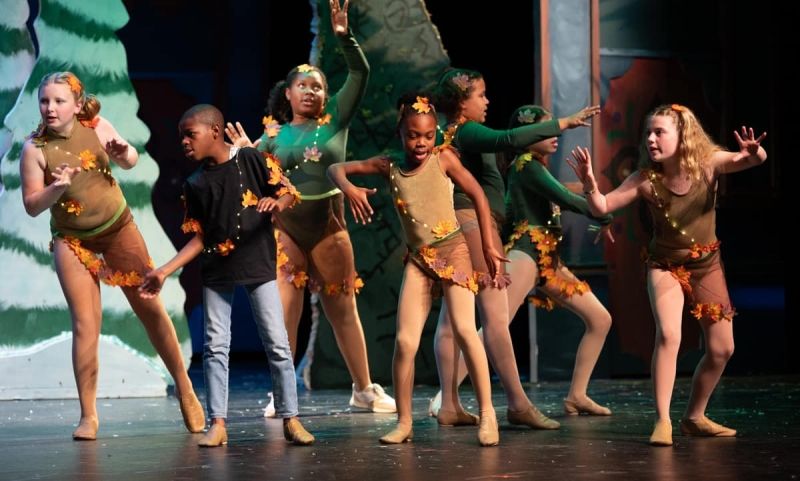 Review: DISNEY'S FROZEN at North Little Rock High School Performing Arts Center  Image