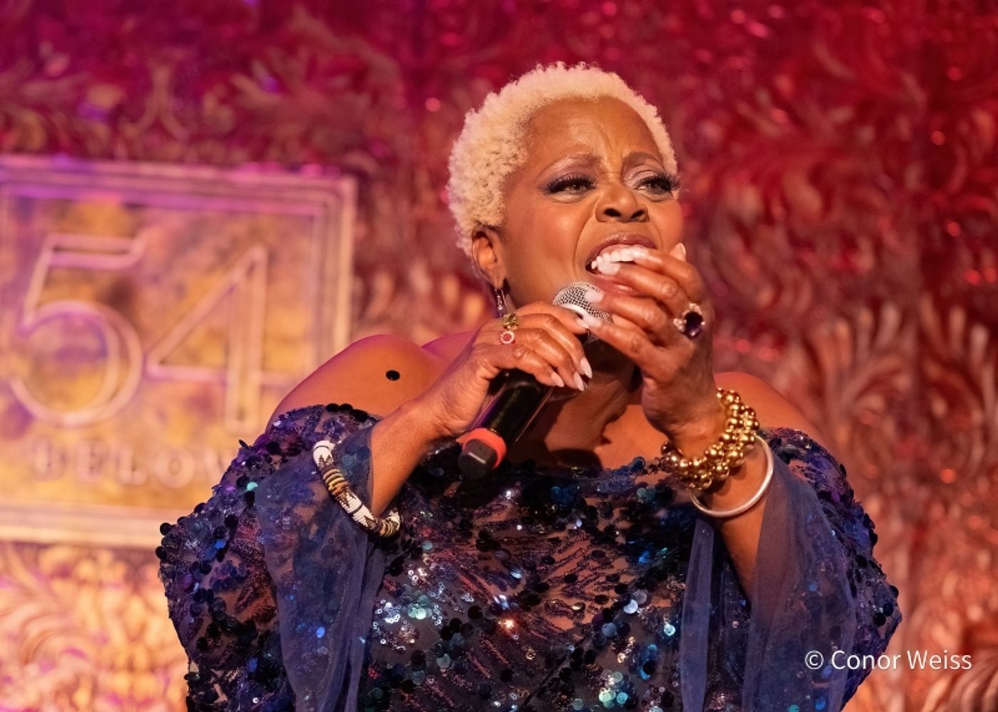 Photos: Lillias White Premieres BLISSFULLY THANKFUL at 54 Below Photos: Lillias White Premieres BLISSFULLY THANKFUL at 54 Below Image