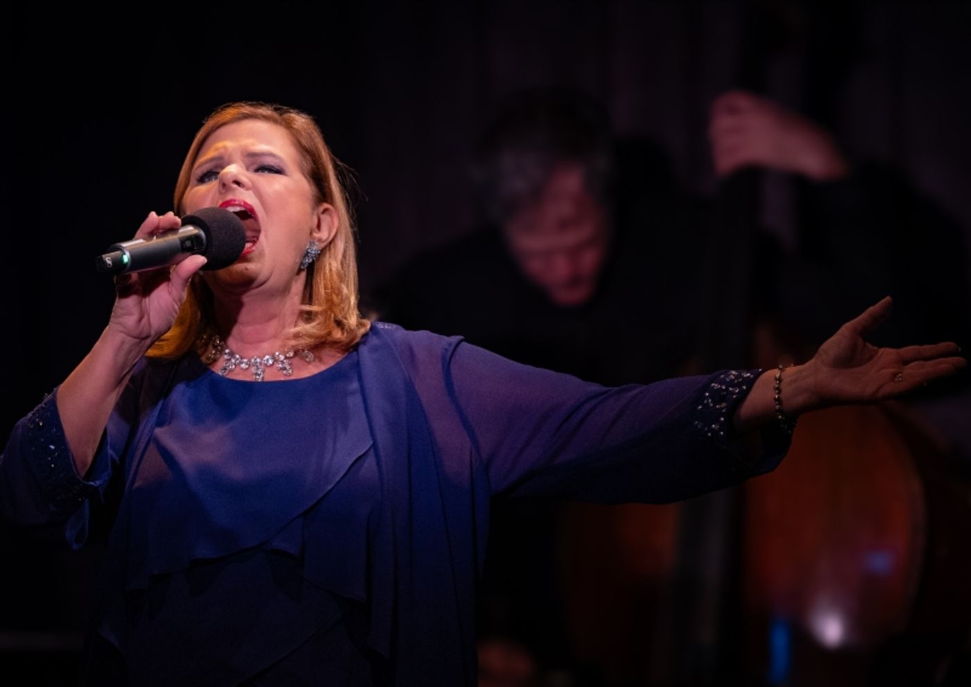 Photos: Dianne Fraser Brings YOU AND I - THE WORDS AND MUSIC OF LESLIE BRICUSSE To Don't Tell Mama  Image