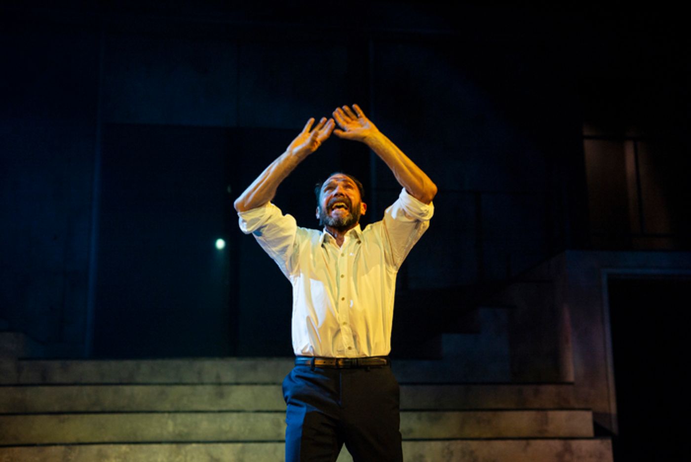 Photos: First Look at MACBETH Starring Ralph Fiennes and Indira Varma  Image