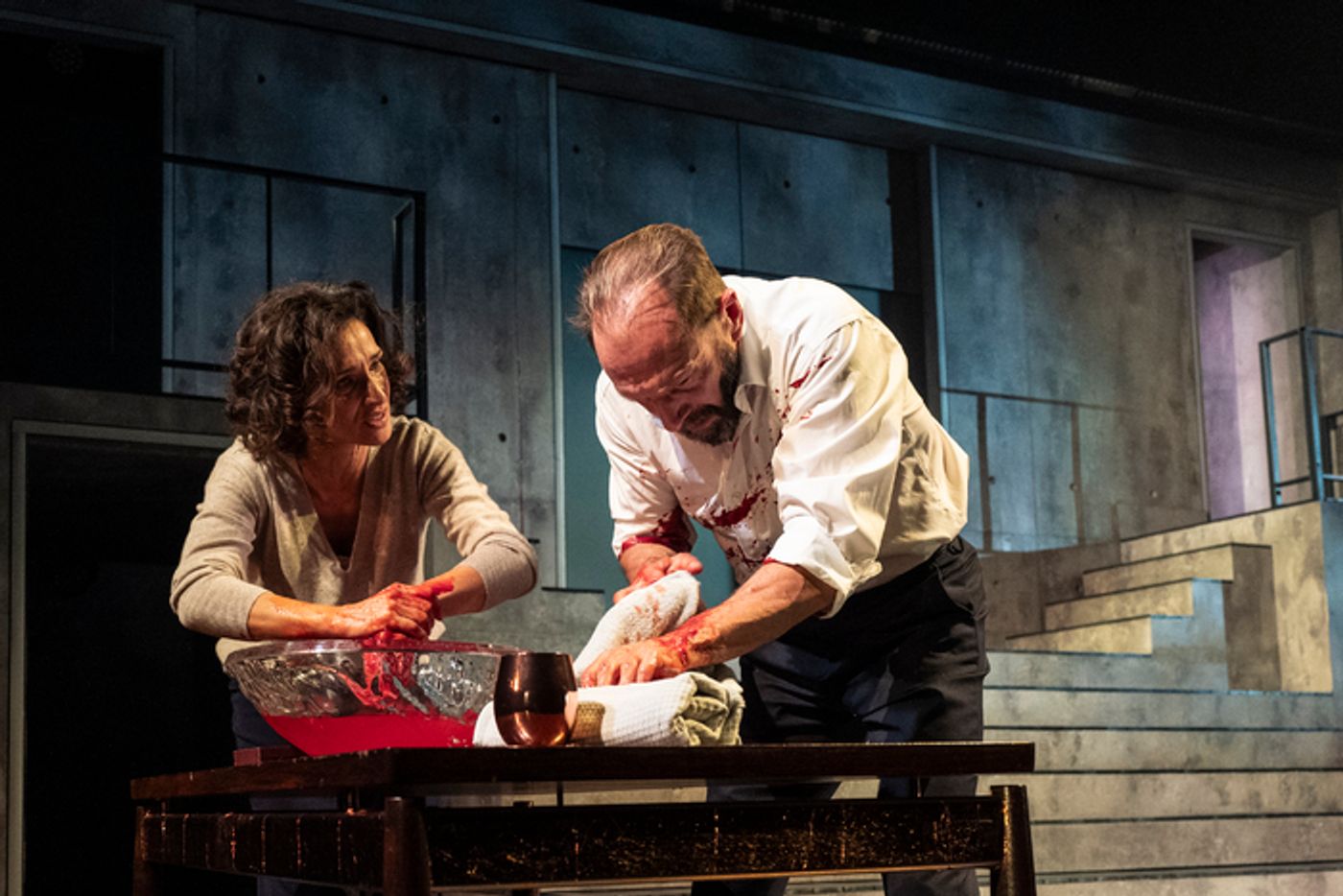 Photos: First Look at MACBETH Starring Ralph Fiennes and Indira Varma  Image