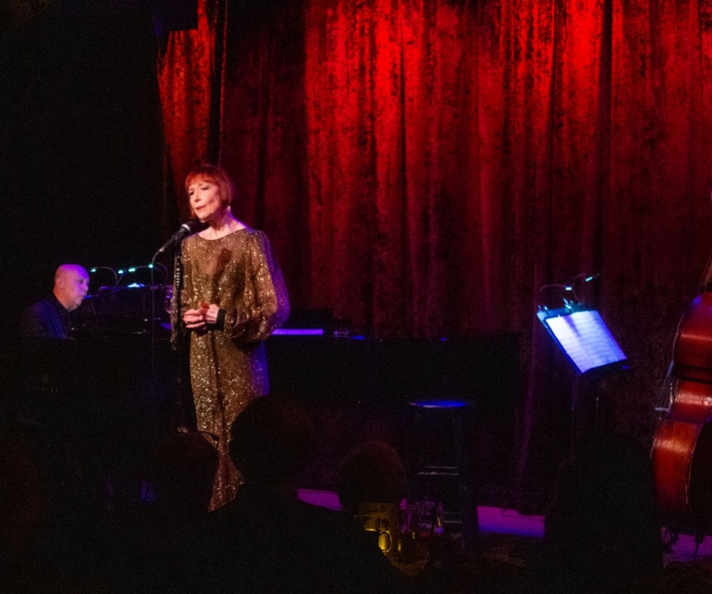 Review: “Nothing's As Fun As A One-Night-Stand” ~~ Karen Akers WATER UNDER THE BRIDGE At Birdland  Image