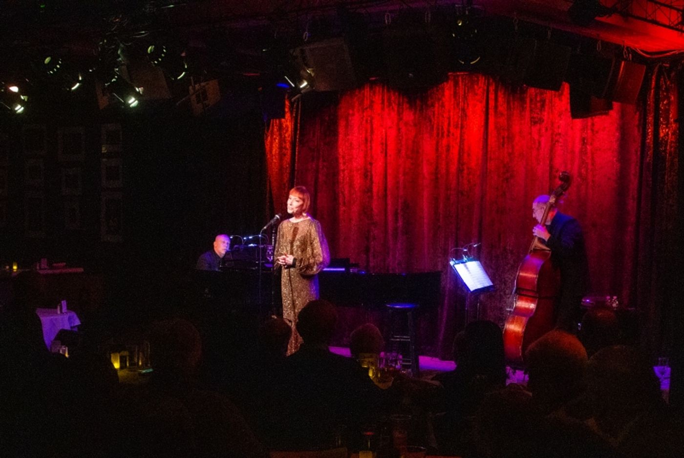 Review: “Nothing's As Fun As A One-Night-Stand” ~~ Karen Akers WATER UNDER THE BRIDGE At Birdland  Image