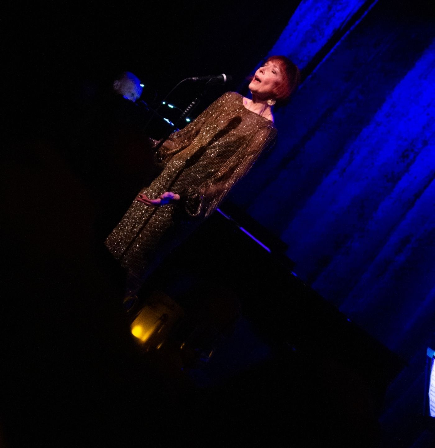 Review: “Nothing's As Fun As A One-Night-Stand” ~~ Karen Akers WATER UNDER THE BRIDGE At Birdland  Image