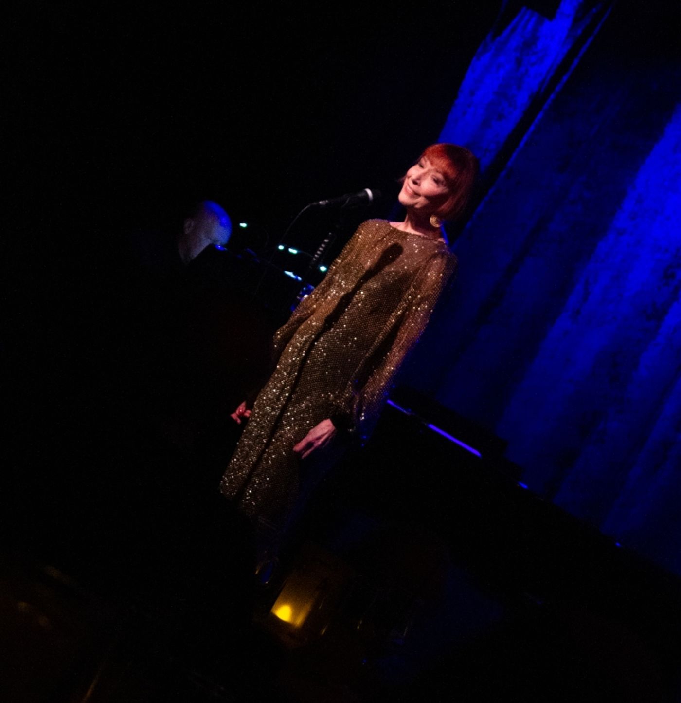 Review: “Nothing's As Fun As A One-Night-Stand” ~~ Karen Akers WATER UNDER THE BRIDGE At Birdland  Image