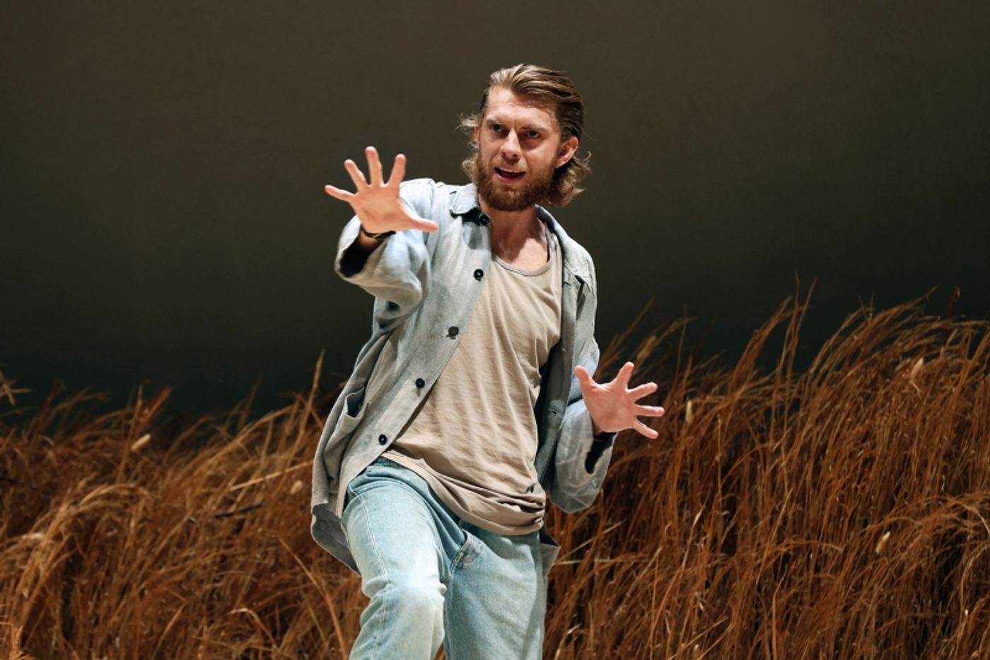 REVIEW: Andrew Upton's Adaptation Of Anton Chekov's THE SEAGULL For Contemporary Australia Is Challenged.  Image