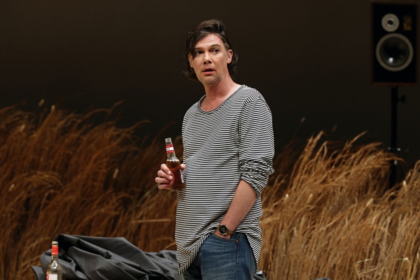 REVIEW: Andrew Upton's Adaptation Of Anton Chekov's THE SEAGULL For Contemporary Australia Is Challenged.  Image