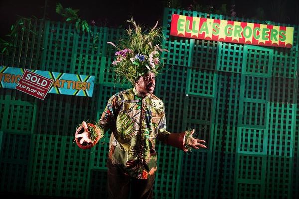 Ray Emmet Brown Photo