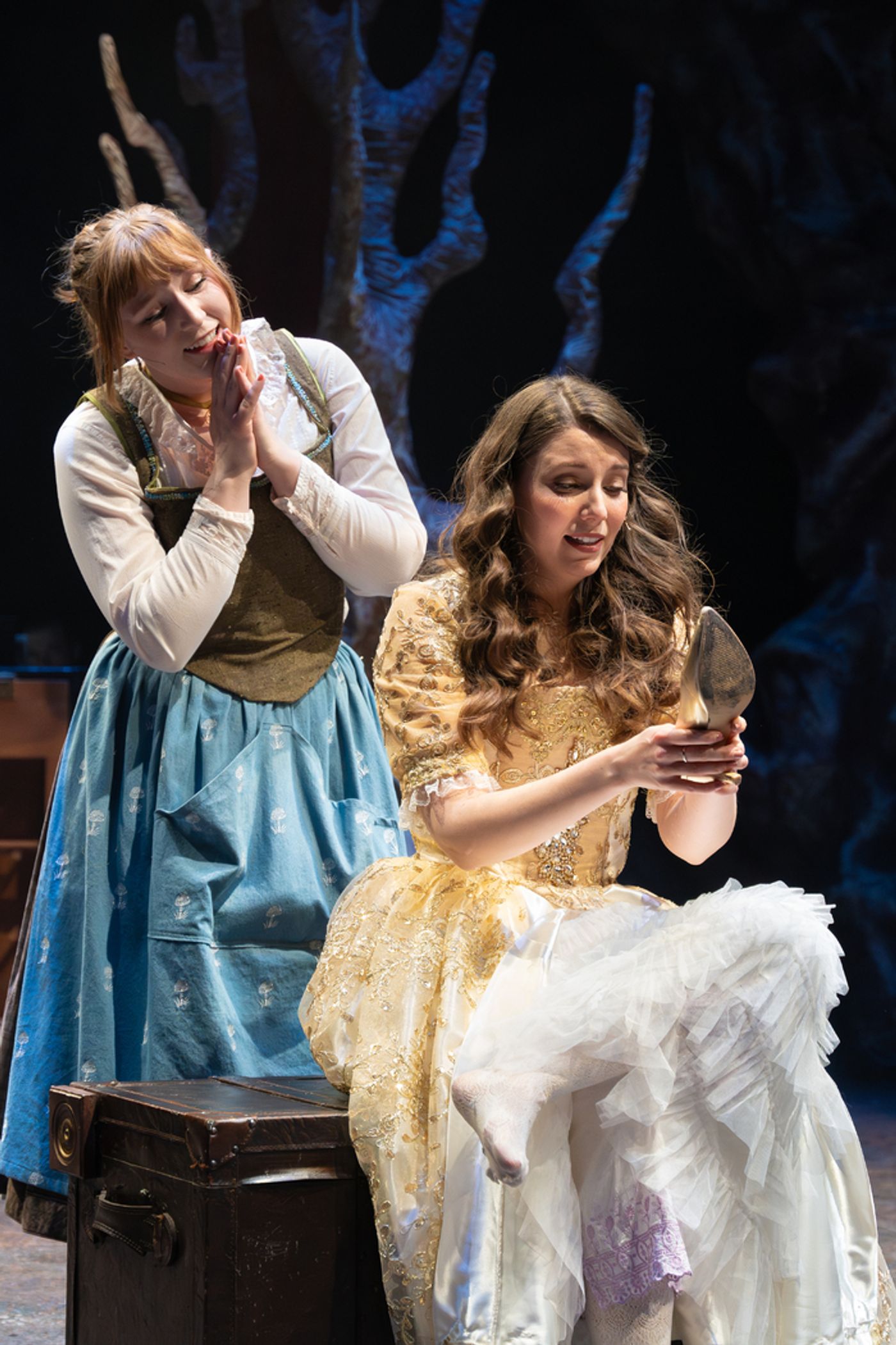 Photos: First Look At INTO THE WOODS At New Jewish Theatre  Image