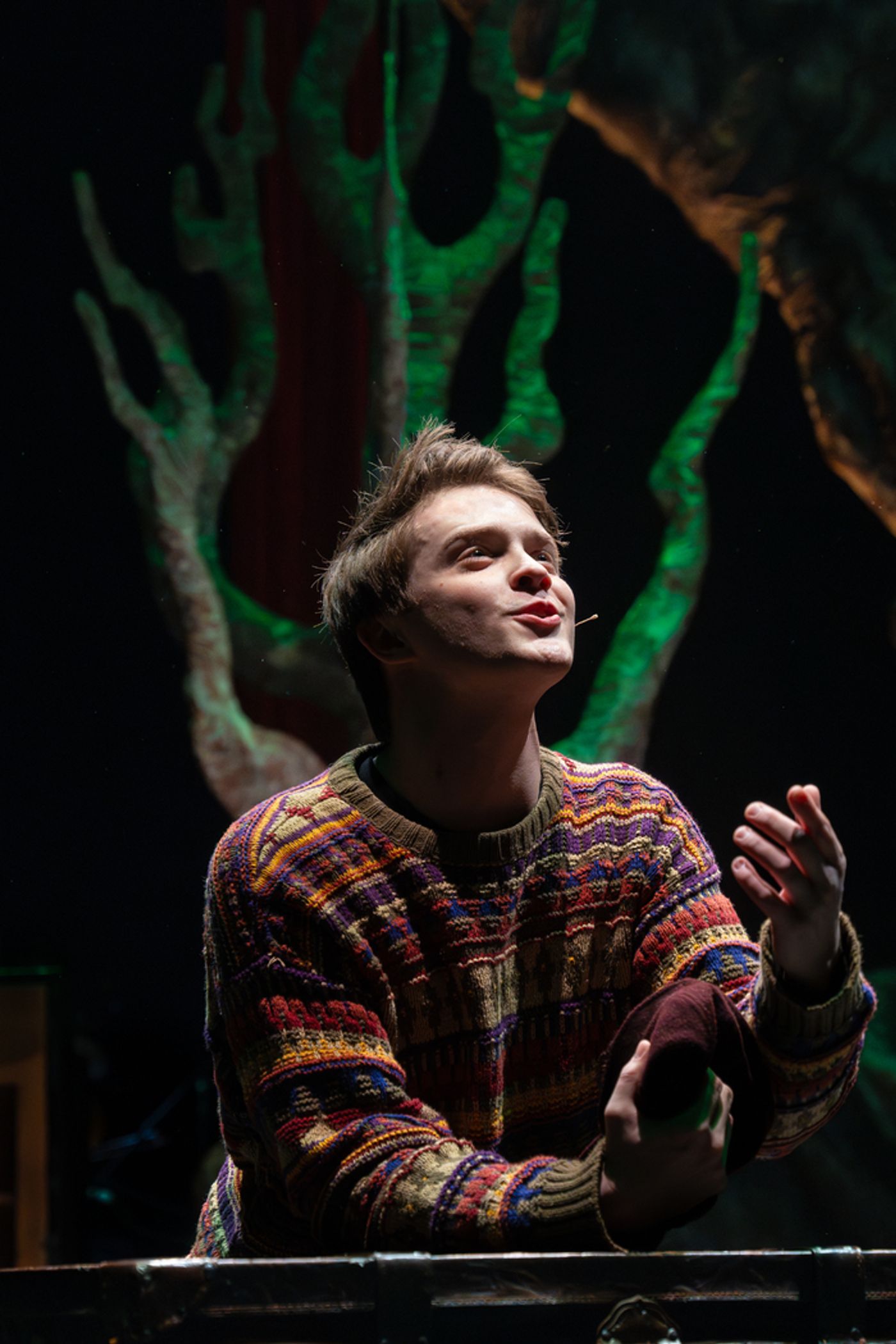 Photos: First Look At INTO THE WOODS At New Jewish Theatre  Image