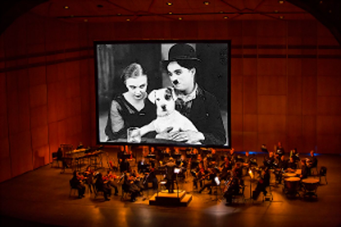 Charlie Chaplin and Buster Keaton Films to be Featured in Anchorage Symphony Orchestra's SILENT FILM NIGHT  Image