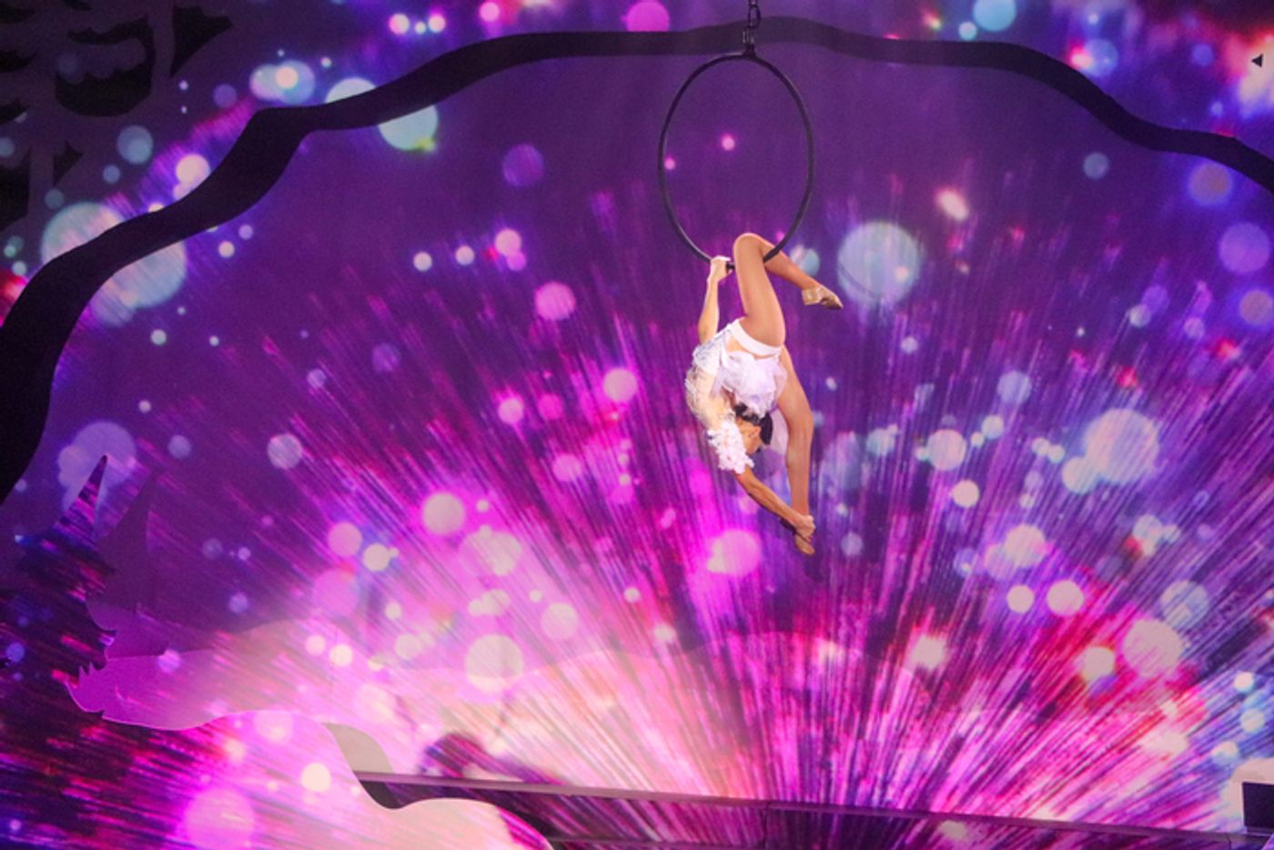 Photos: Create Memories To Cherish Forever at CIRQUE MUSICA HOLIDAY WONDERLAND  Image