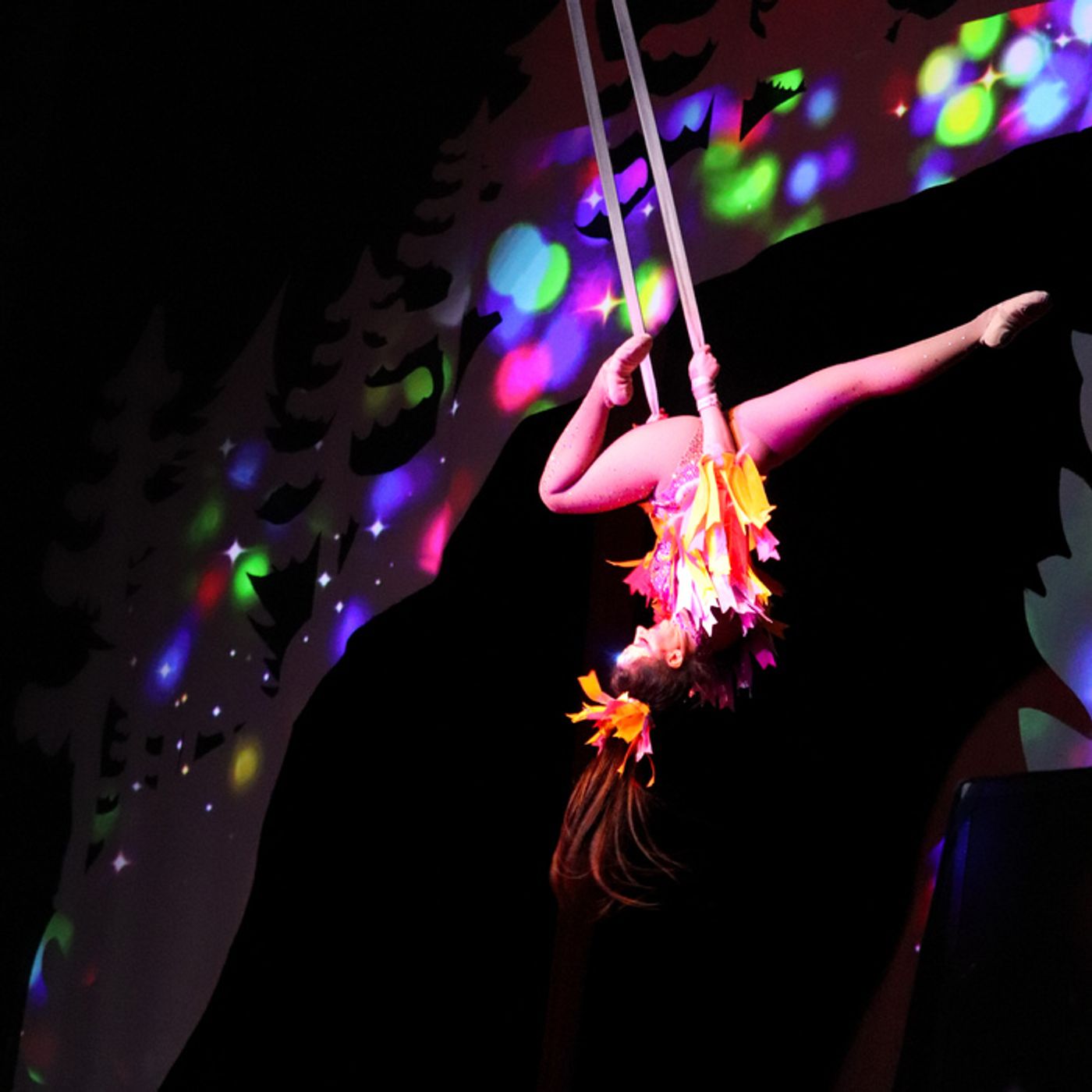 Photos: Create Memories To Cherish Forever at CIRQUE MUSICA HOLIDAY WONDERLAND  Image