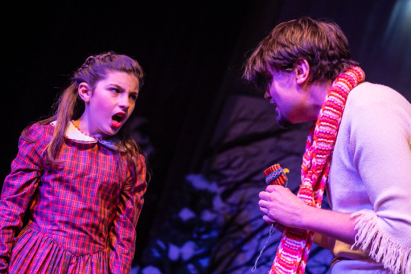 Photos: First look at Worthington Community Theatre's THE LION, THE WITCH & THE WARDROBE  Image