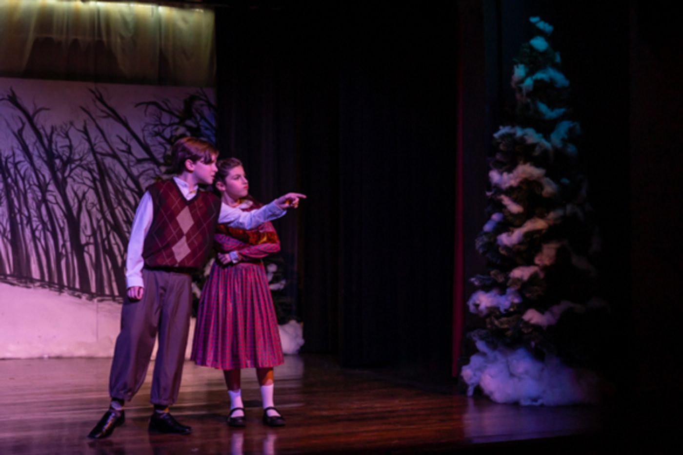 Photos: First look at Worthington Community Theatre's THE LION, THE WITCH & THE WARDROBE  Image