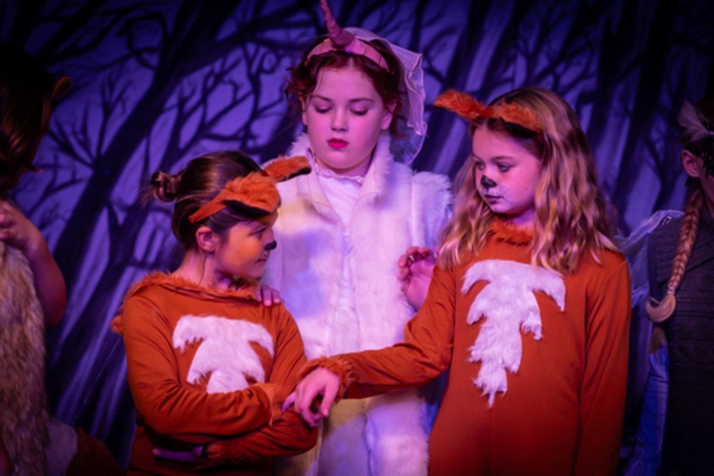 Photos: First look at Worthington Community Theatre's THE LION, THE WITCH & THE WARDROBE  Image