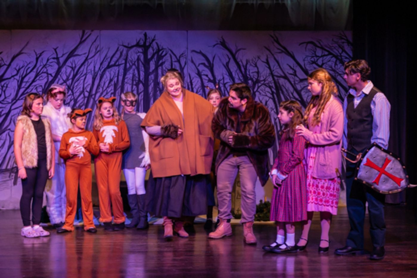 Photos: First look at Worthington Community Theatre's THE LION, THE WITCH & THE WARDROBE  Image