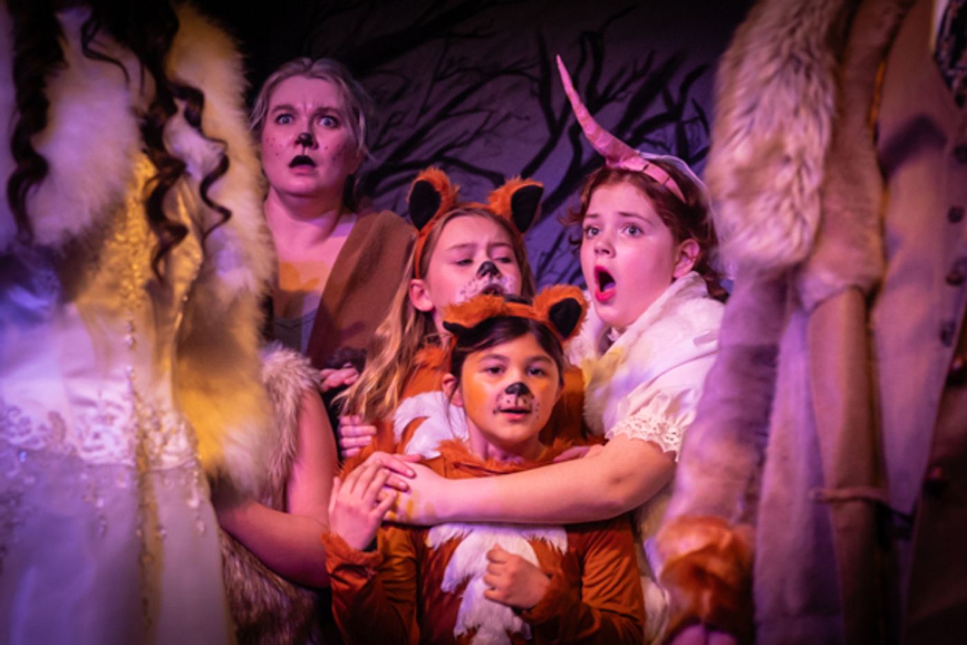 Photos: First look at Worthington Community Theatre's THE LION, THE WITCH & THE WARDROBE  Image