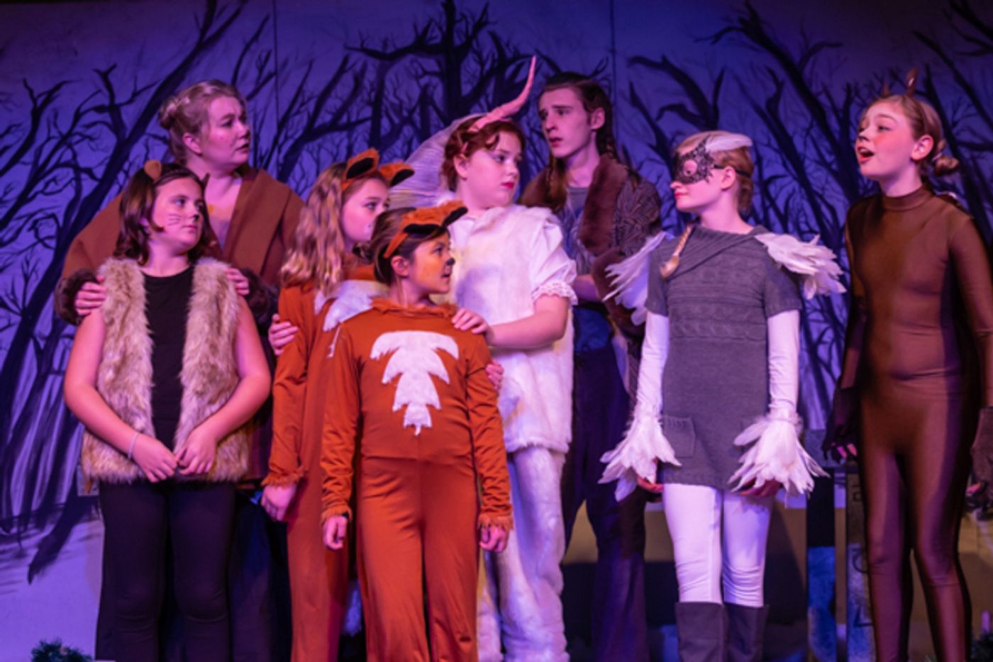 Photos: First look at Worthington Community Theatre's THE LION, THE WITCH & THE WARDROBE  Image