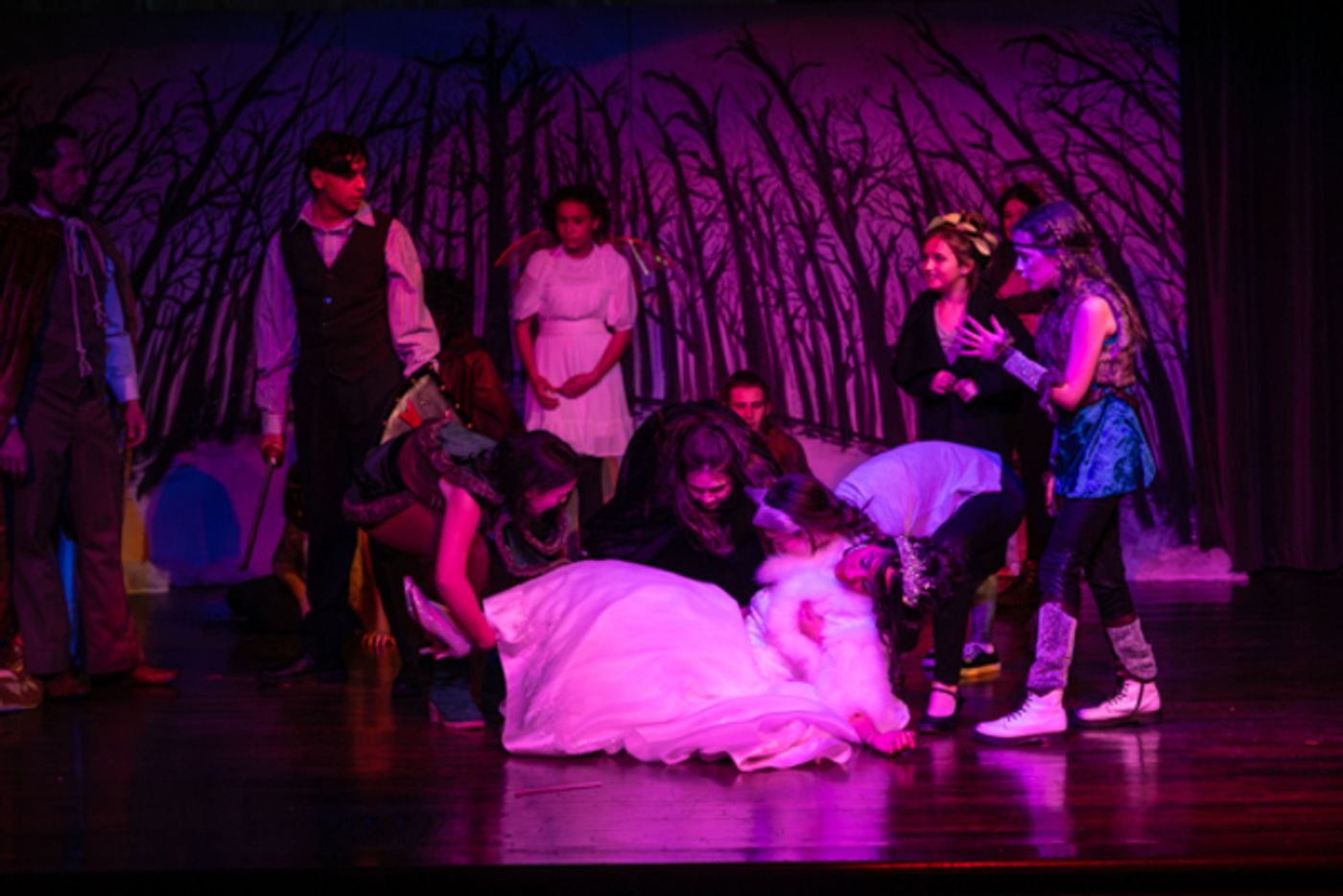 Photos: First look at Worthington Community Theatre's THE LION, THE WITCH & THE WARDROBE  Image