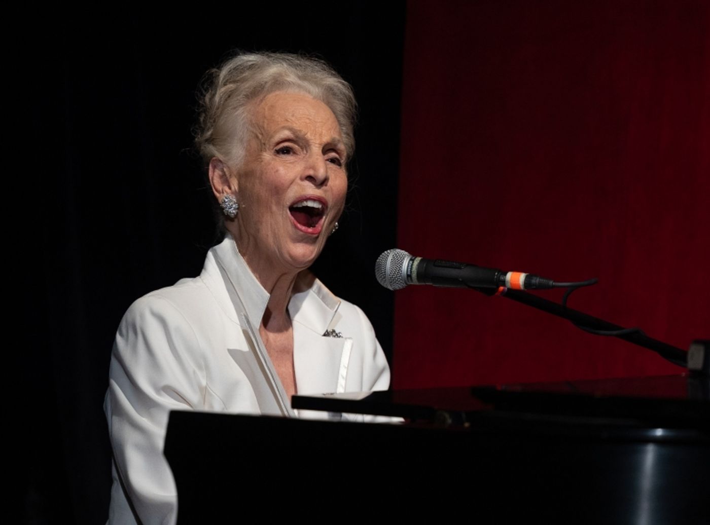 Photos: A DREAM AND A SONG: THE MUSICAL STORIES OF ELIZABETH SULLIVAN, Featuring Celia Berk  Image