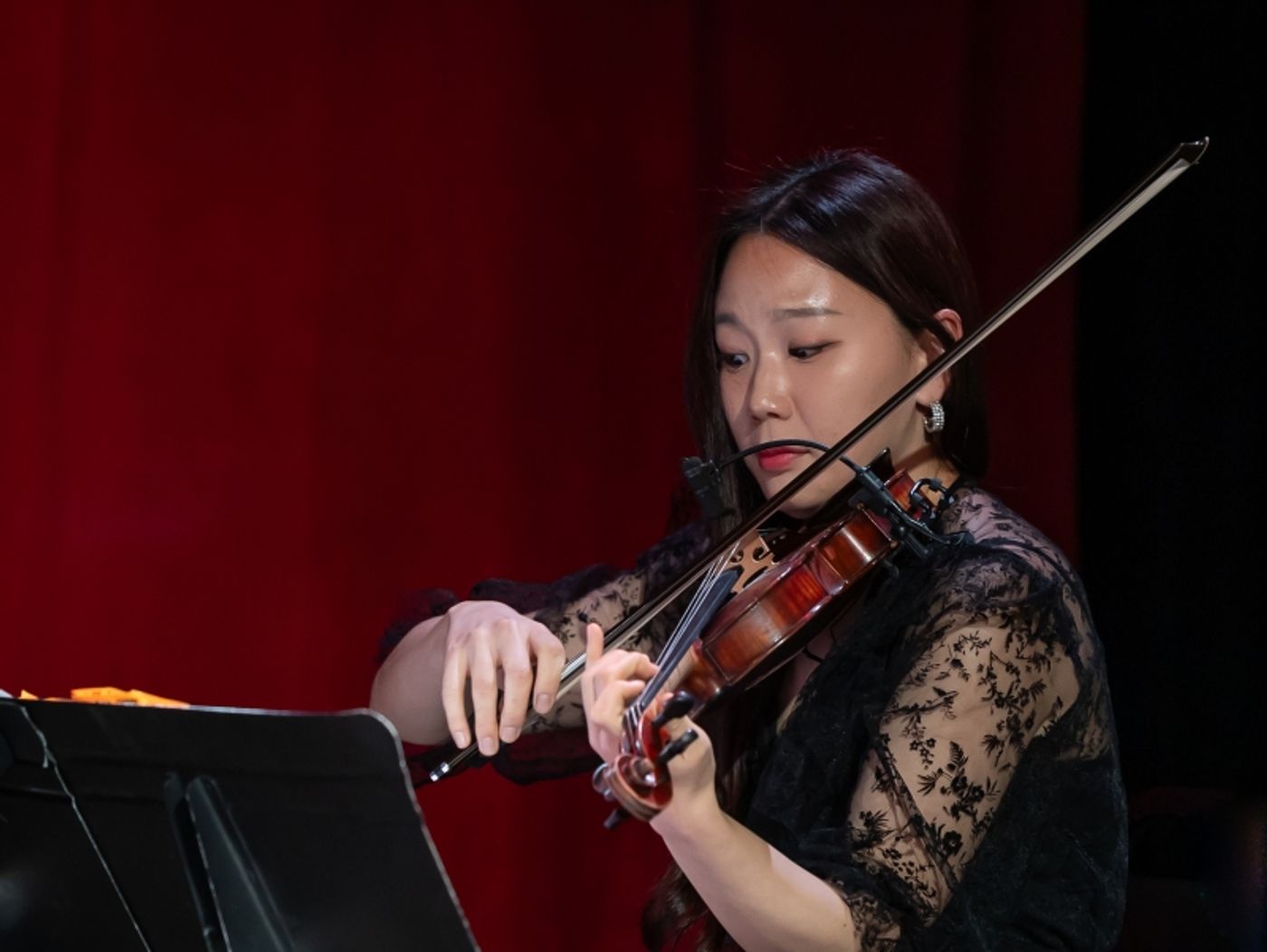 Photos: A DREAM AND A SONG: THE MUSICAL STORIES OF ELIZABETH SULLIVAN, Featuring Celia Berk  Image