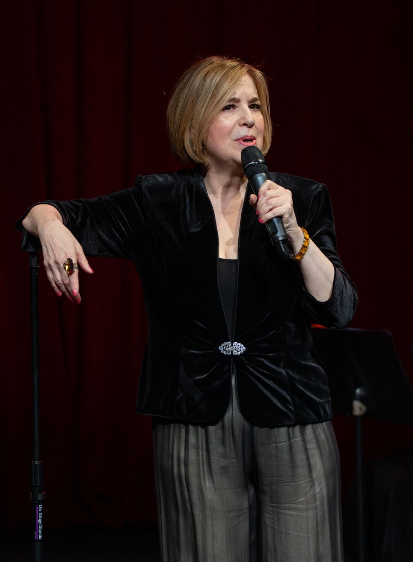 Photos: A DREAM AND A SONG: THE MUSICAL STORIES OF ELIZABETH SULLIVAN, Featuring Celia Berk  Image