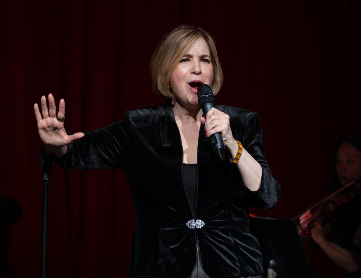 Photos: A DREAM AND A SONG: THE MUSICAL STORIES OF ELIZABETH SULLIVAN, Featuring Celia Berk  Image