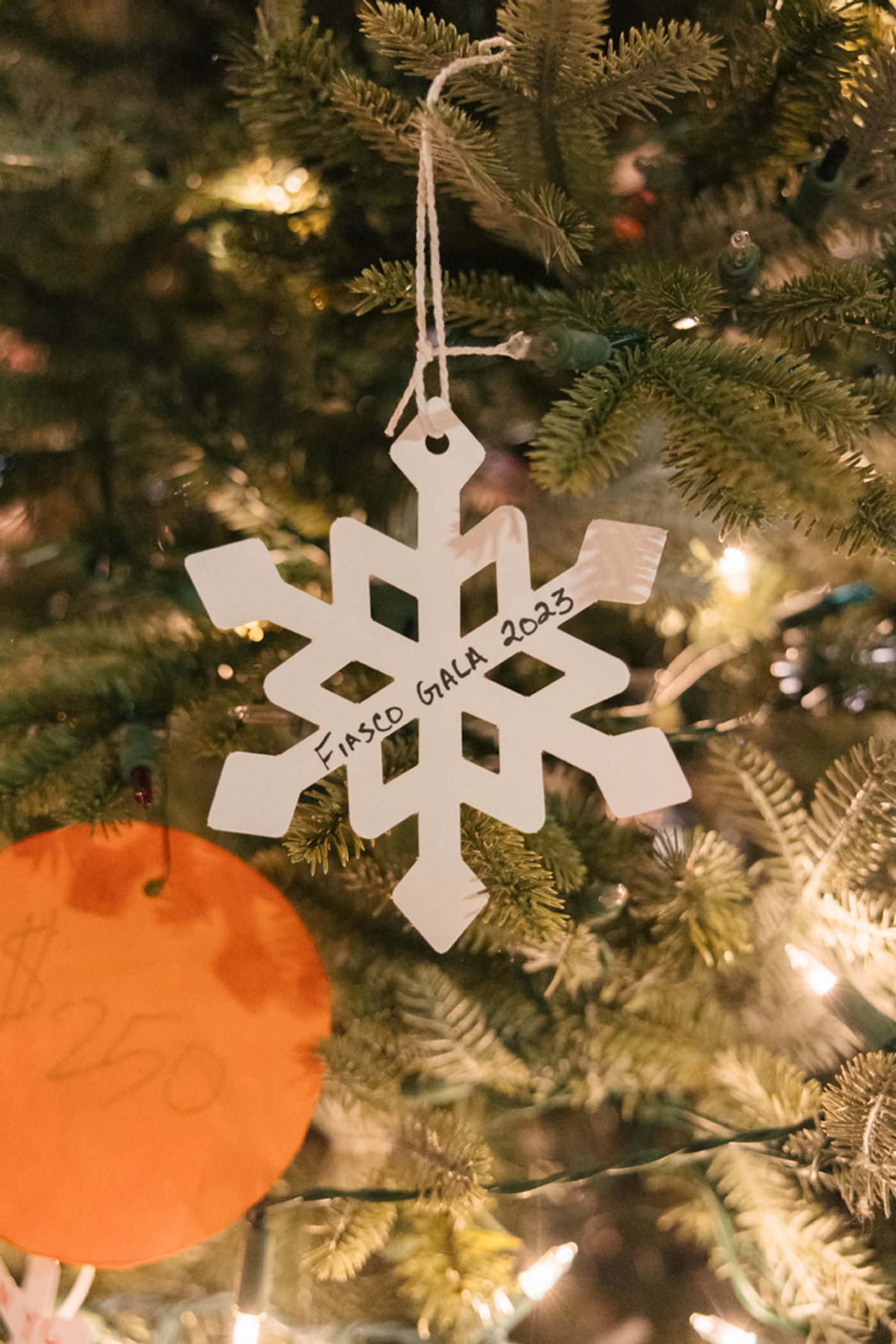 Photos: Fiasco Theater Hosts First Ever Fundraising Gala  Image