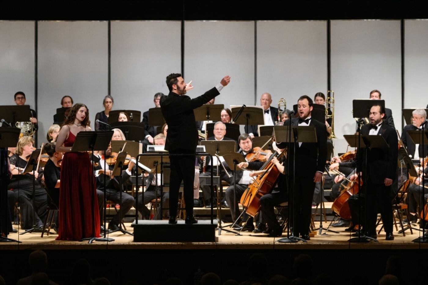 Review: THE GREATER NEWBURGH SYMPHONY ORCHESTRA ANNUAL HOLIDAY SHOW at Aquinas Hall  Image