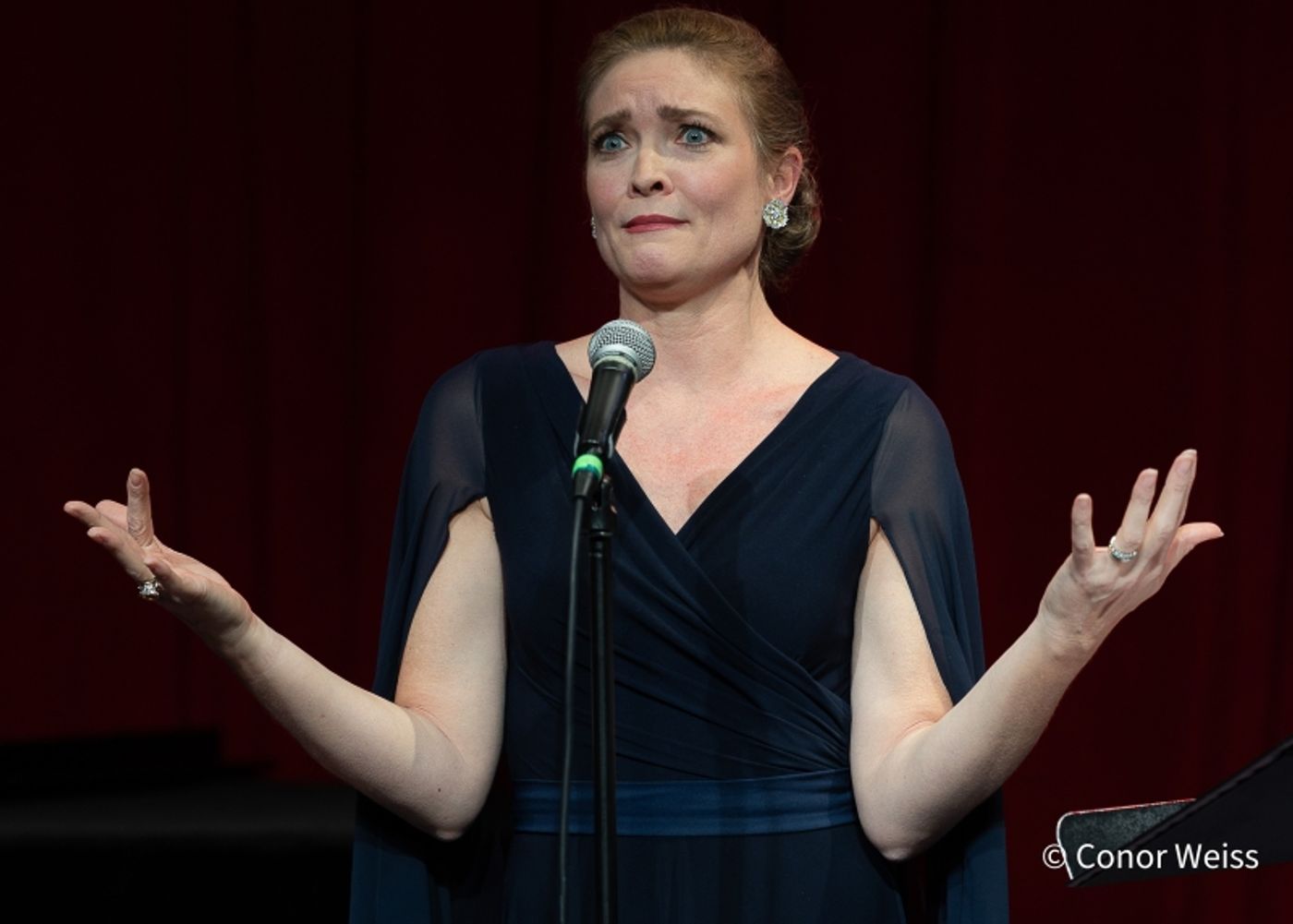 Photos: Shana Farr Presents BERNSTEIN TO SONDHEIM: THE BARBARA COOK SONGBOOK at Urban Stages  Image